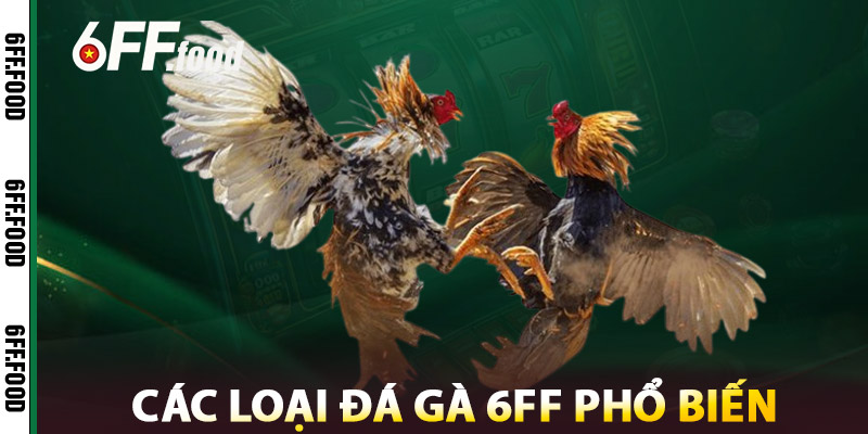 Các Loại Đá Gà 6FF Phổ Biến